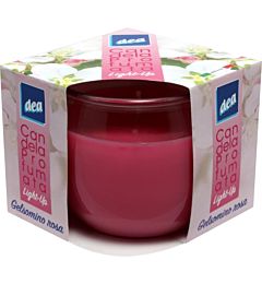 DEA CANDELE PR. BICC. LIGHT-UP GELS.ROSA