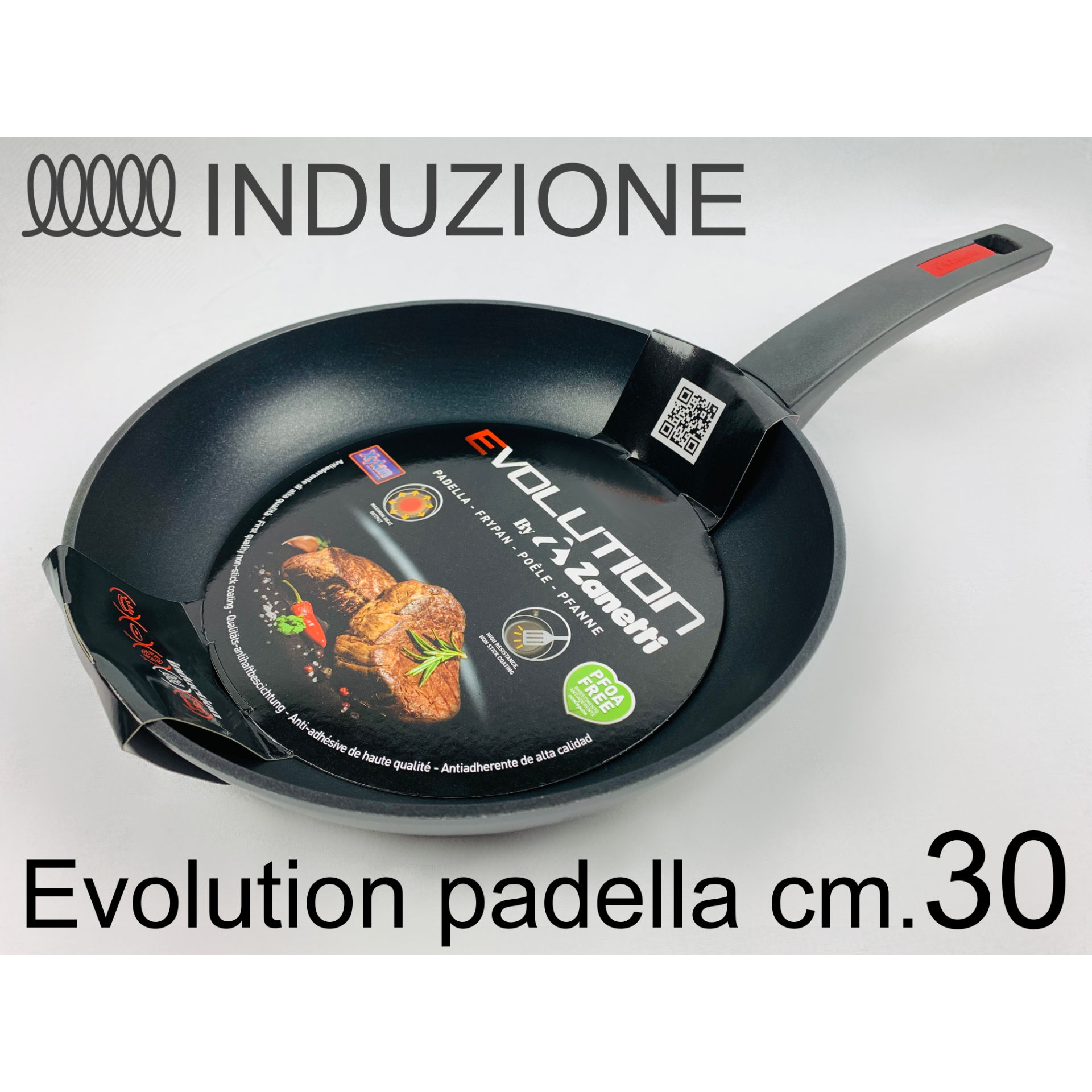 Trudi Revolution Induzione Pentola cm 20